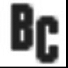 Brooklyn Accounts